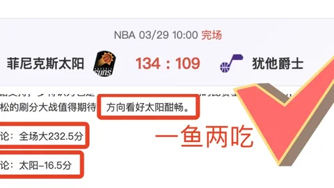 大乐透期号专家推荐：掘金主场大战开拓者预测